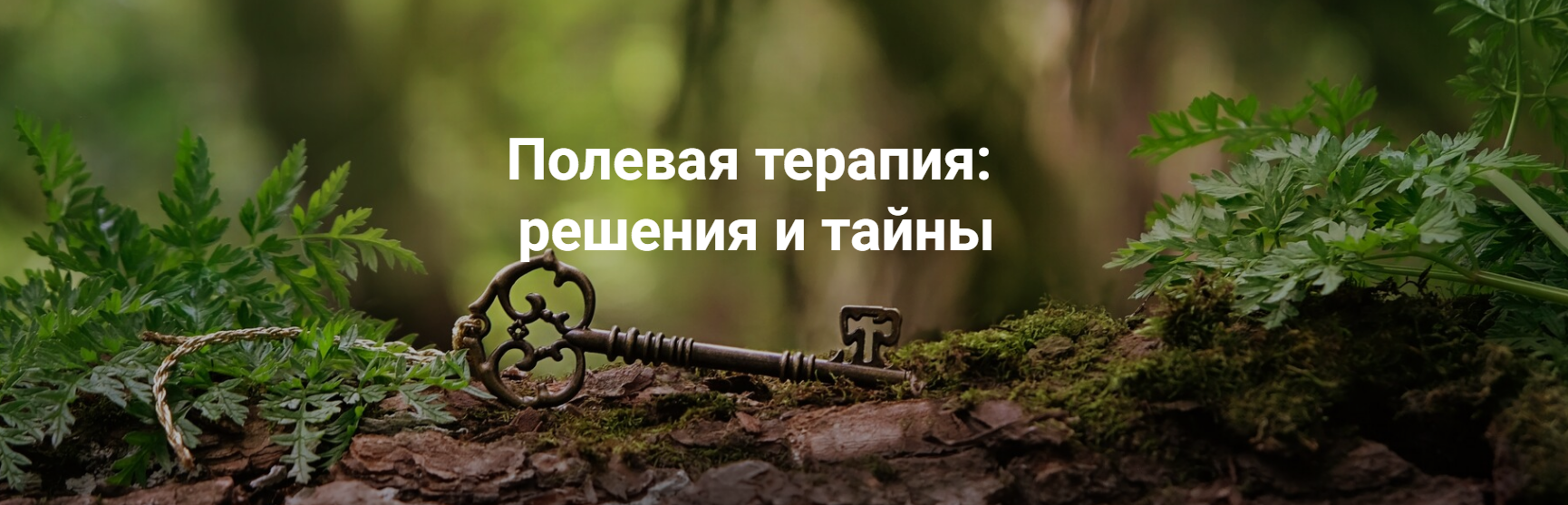 [Институт Открытого поля] Елена Веселаго ― Полевая_0.png